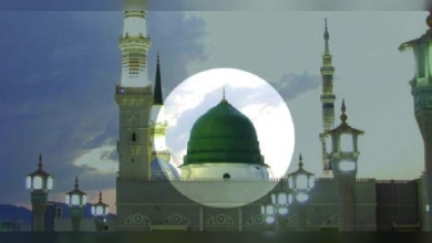 নবীজি (সা.)-এর সিরাতে আছে আমাদের মুক্তির দিশা