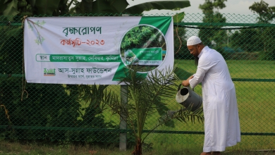 রেকর্ডসংখ্যক বৃক্ষরোপণ