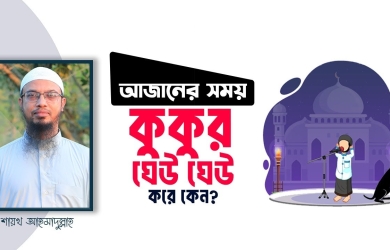 আজানের সময় কুকুর ঘেউ ঘেউ করে কেন জানেন?