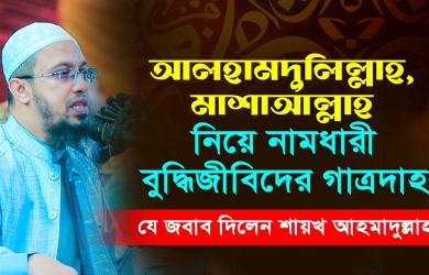 আলহামদুলিল্লাহ মাশাআল্লাহ শব্দে যাদের গাত্রদাহ তাদেরকে যে জবাব দিলেন শায়খ আহমাদুল্লাহ
