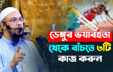 ডেঙ্গুর ভয়াবহতা থেকে বাঁচতে ৩ টি কাজ করুন