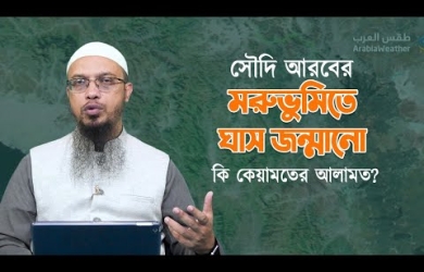 সৌদি আরবের মরুভুমিতে ঘাস জন্মানো কি কেয়ামতের আলামত?