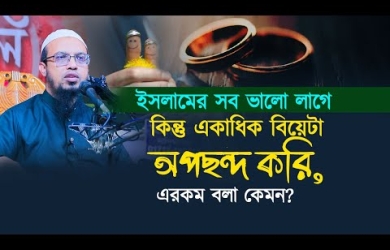 ইসলামের সব ভালো লাগে কিন্তু একাধিক বিয়েটা অপছন্দ করি, এরকম বলা কেমন?