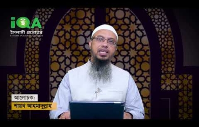 বিড়ালের বাচ্চা দূরে ফেলে আসার বিধান
