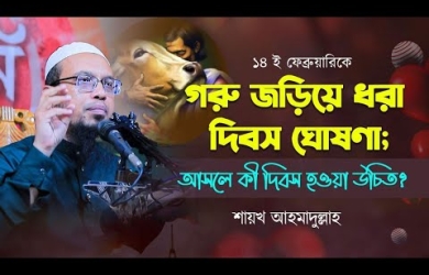 ভারতে ১৪ ফেব্রুয়ারিকে গরু জড়িয়ে ধরা দিবস ঘোষণা; যা বললেন শায়খ আহমাদুল্লাহ