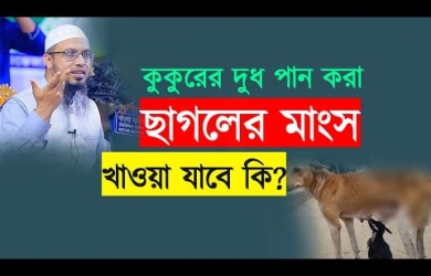 কুকুরের দুধ পান করা ছাগলের মাংস খাওয়া যাবে কি?