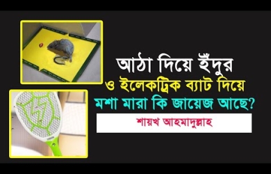 আঠা দিয়ে ইঁদুর ও ইলেকট্রিক ব্যাট দিয়ে মশা মারা কি জায়েজ আছে?