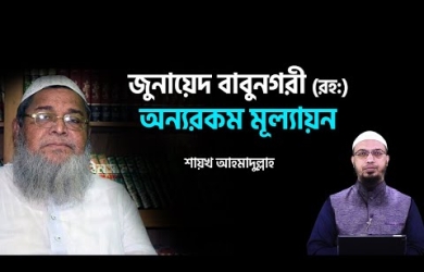 জুনায়েদ বাবুনগরী (রহ.) সম্পর্কে মূল্যায়ন