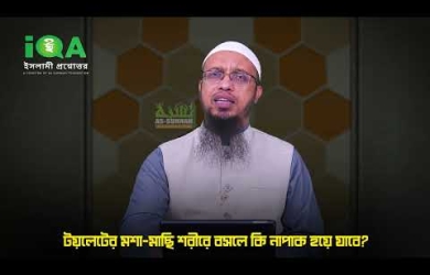 নোংরা স্থান থেকে মশা-মাছি গায়ে বসলে শরীর নাপাক হবে কি না?