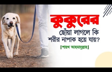 কুকুরের ছোঁয়া লাগলে কি শরীর নাপাক হয়ে যায়?