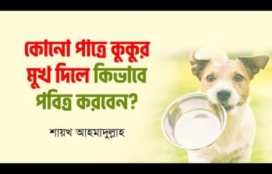 কোনো পাত্রে কুকুর মুখ দিলে পবিত্র করার পদ্ধতি
