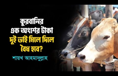 কুরবানীর এক ভাগে দুই ভাইয়ের অংশগ্রহণ করা কি জায়েয?