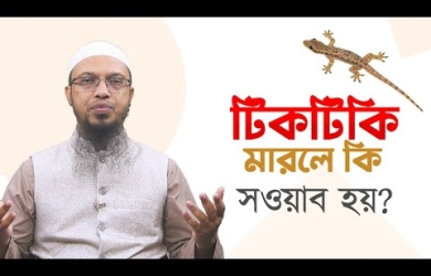 টিকটিকি মারলে কি সওয়াব হয়?