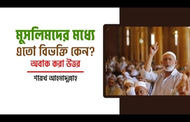 মুসলিমদের মধ্যে এত বিভক্তি কেন?