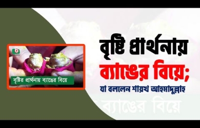 বৃষ্টি প্রার্থনা করে ব্যাঙের বিয়ে : ইসলাম কী বলে