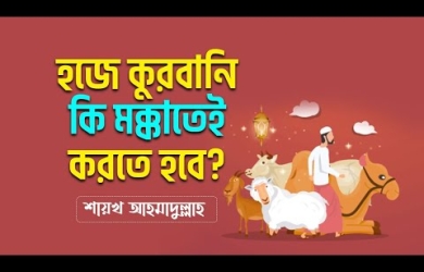 হাজীদের কুরবানী মক্কায় আদায় করলে দেশে আদায় করতে করতে হবে কি?
