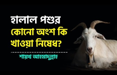 হালাল পশুর কোন কোন অংশ খাওয়া জায়েয এবং কোন কোন অংশ খাওয়া নিষেধ
