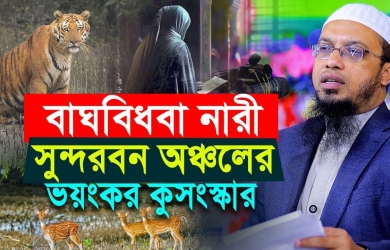 সুন্দরবনে বাঘের শিকার স্বামী, সমাজের নির্মম কুসংস্কারে শিকার অসহায় স্ত্রী