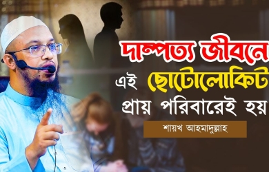 দাম্পত্য জীবনের একটি ছোটলোকী