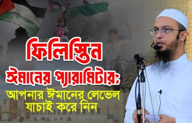 ফিলিস্তিন ঈমানের প্যারামিটার; আপনার ঈমানের লেভেল যাচাই করে নিন