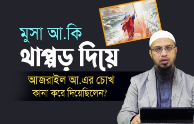মুসা আ. কি থাপ্পড় দিয়ে আজরাইল আ. এর চোখ কানা করে দিয়েছিলেন?