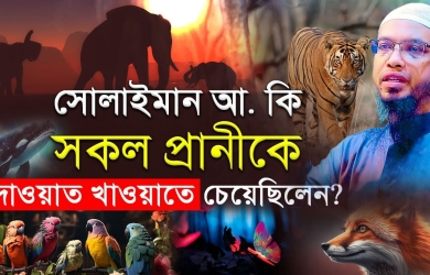 সোলাইমান আ. কি সকল প্রাণীকে দাওয়াত খাওয়াতে চেয়েছিলেন?